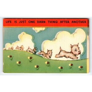 Vintage 1940s Linen Comic Postcard Life Is One Darn Thing Dogs